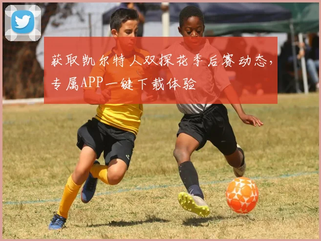 获取凯尔特人双探花季后赛动态，专属APP一键下载体验
