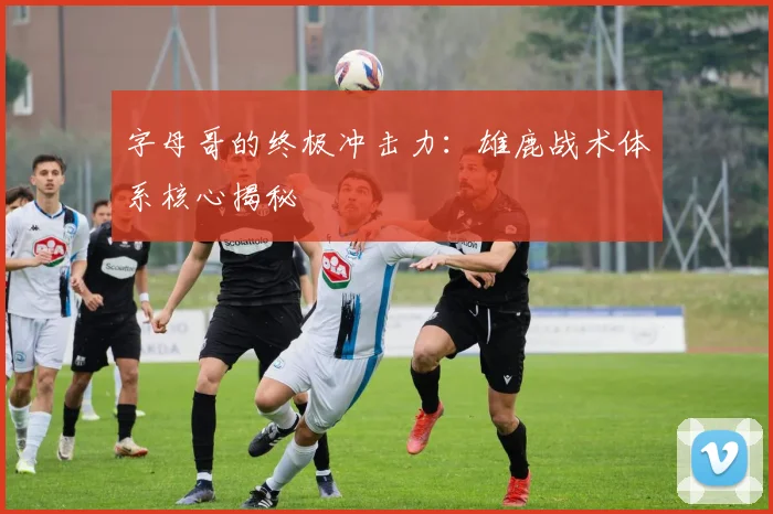 字母哥的终极冲击力：雄鹿战术体系核心揭秘