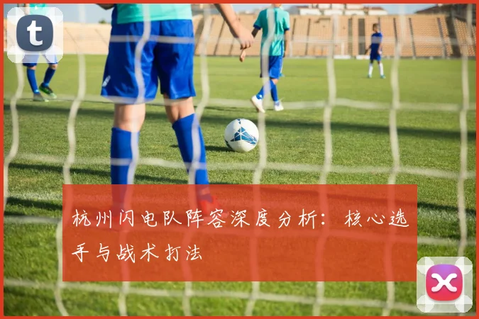 杭州闪电队阵容深度分析：核心选手与战术打法